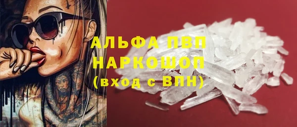 apvp Великий Новгород