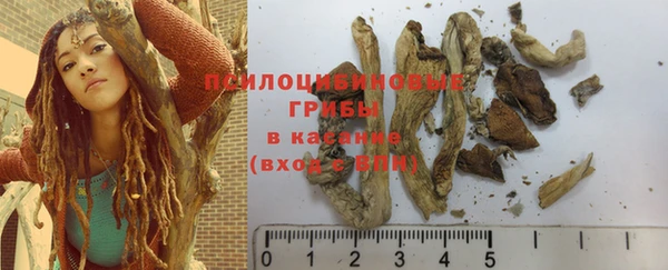 стафф Кулебаки